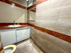 Changi Road (D14), Semi-Detached #467207341